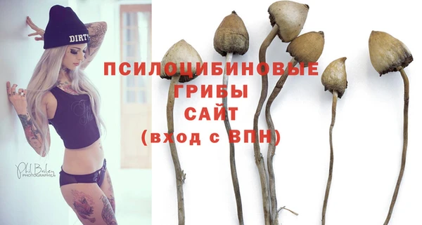 ешки Аркадак