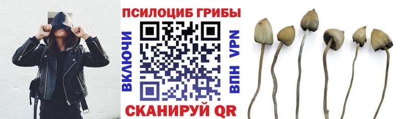 OMG зеркало  Соль-Илецк  Галлюциногенные грибы мицелий 